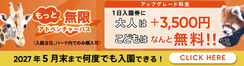 もっと無限アドベンチャーパス