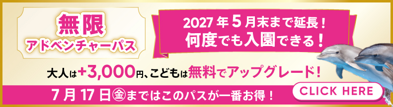 無限アドベンチャーパス