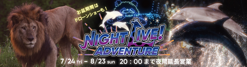 ナイトLIVEアドベンチャー