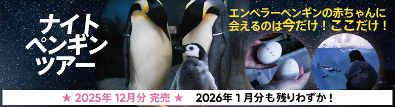 アドベンチャーワールド