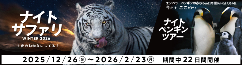 ナイトサファリ2026