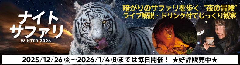 ナイトサファリハイキング2026