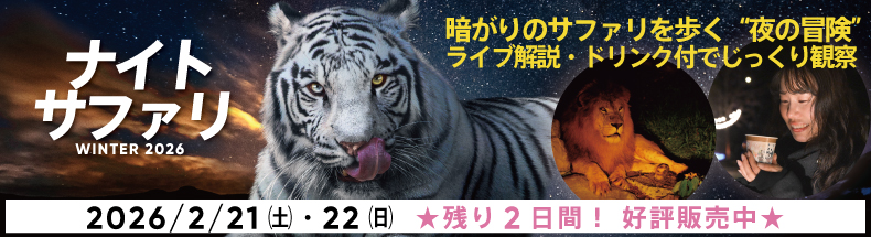 ナイトサファリハイキング2026