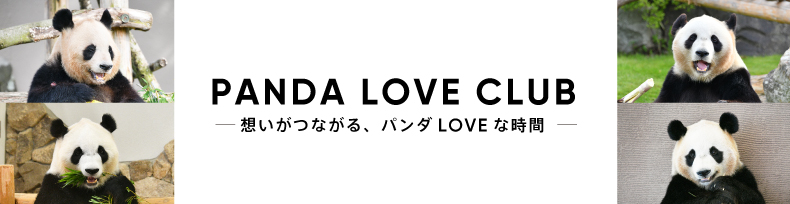 PANDA LOVE CLUB