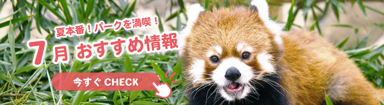 パークの楽しみ方