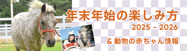 パークの楽しみ方