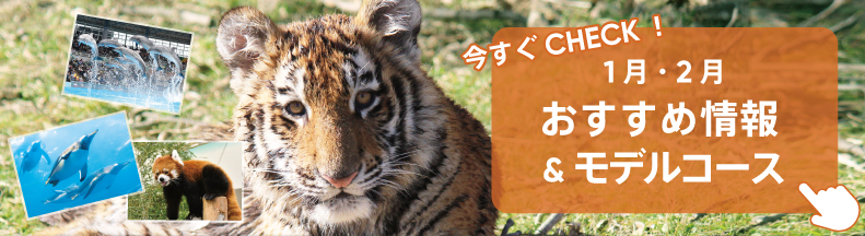 パークの楽しみ方