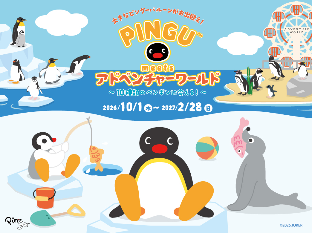 ピングー2026