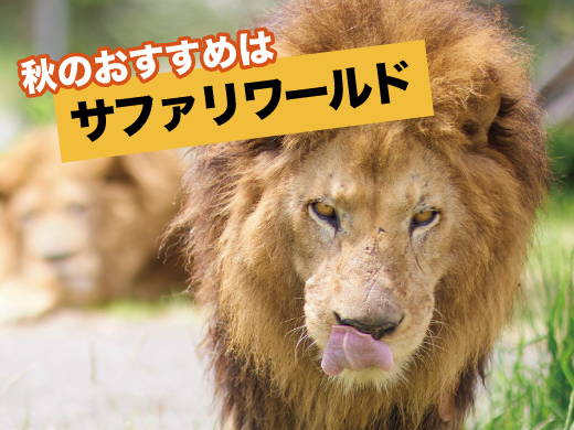 秋のサファリワールド