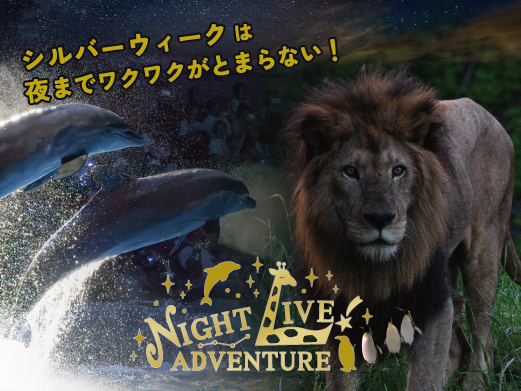 シルバーウィーク