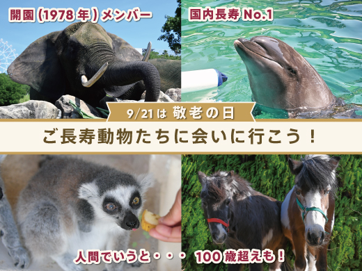 ご長寿動物レジェンドMAP