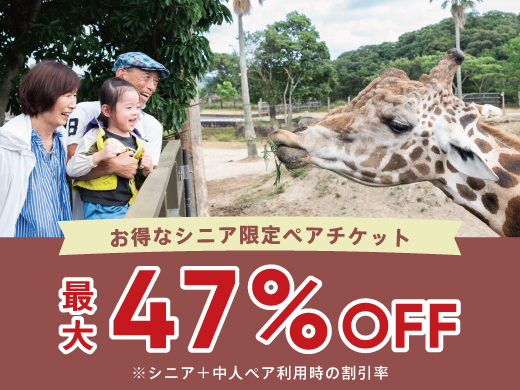 孫旅アドベンチャーパス