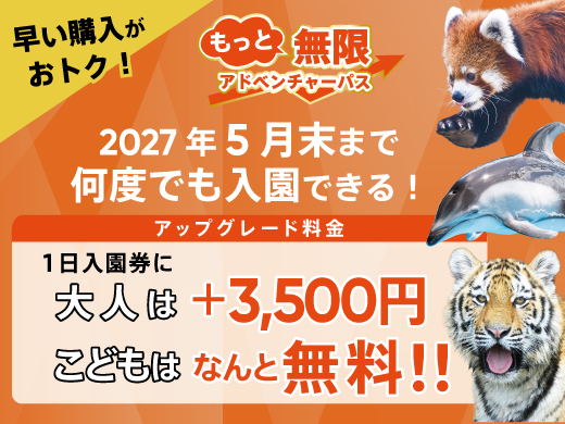 もっと無限アドベンチャーパス