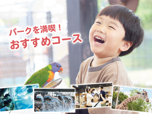おすすめコース