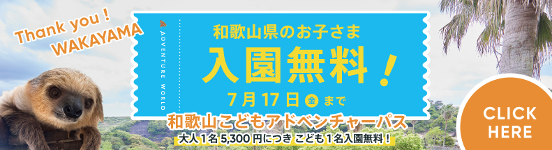 和歌山こどもアドベンチャーパス
