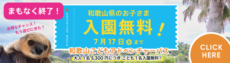 和歌山こどもアドベンチャーパス