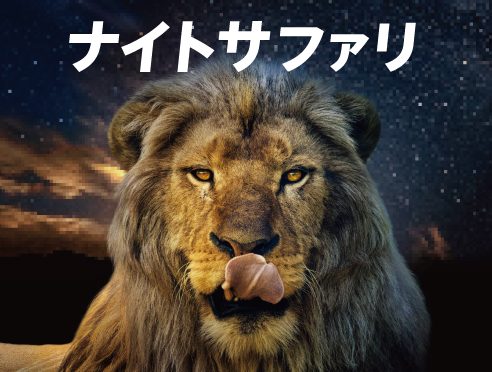 ナイトサファリ 夜のライオン