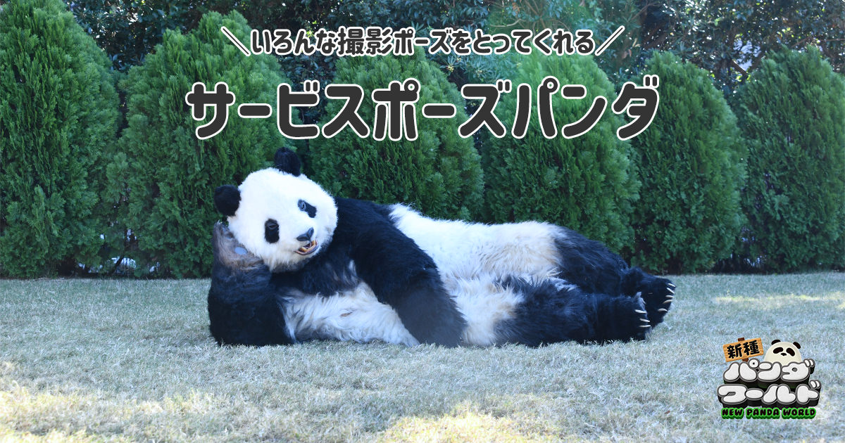 サービスポーズパンダ | 新種パンダワールド - アドベンチャーワールド
