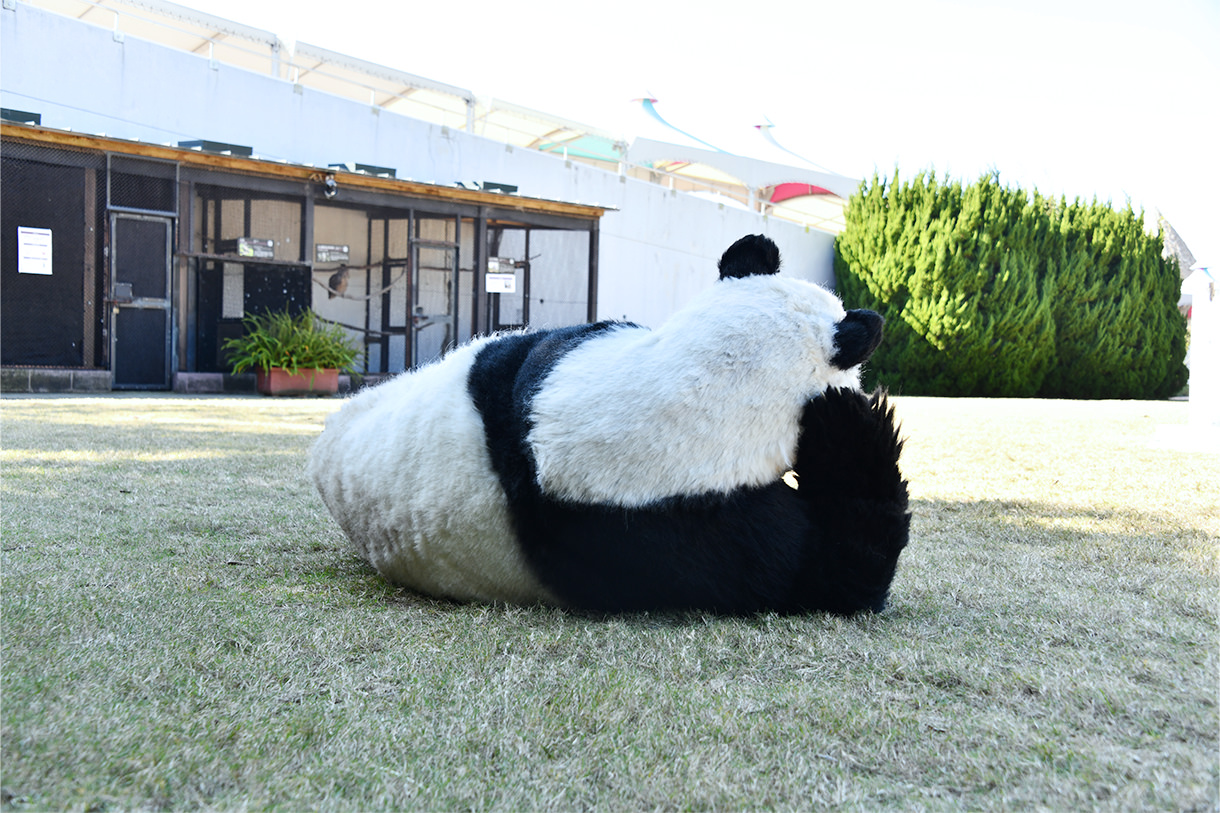 service panda