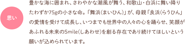 思い：豊かな海に囲まれ、さわやかな潮風が舞う、和歌山・白浜に舞い降りたわずか75グラムの小さな命。「舞浜（まいひん）」が、母親「良浜（らうひん）」の愛情を受けて成長し、いつまでも世界中の人々の心を躍らせ、笑顔があふれる未来のSmile（しあわせ）を創る存在であり続けてほしいという願いが込められています。