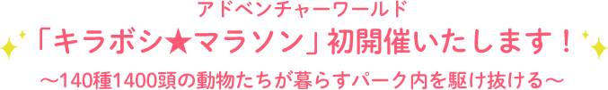 アドベンチャーワールド「キラボシ★マラソン」初開催いたします！～120種1600頭の動物たちが暮らすパーク内を駆け抜ける～