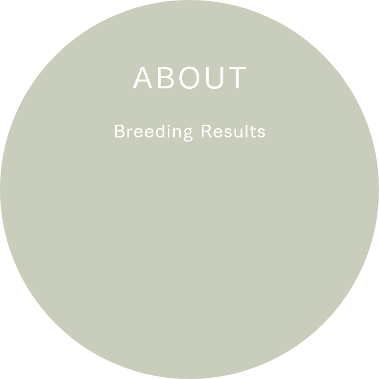 Breeding Results