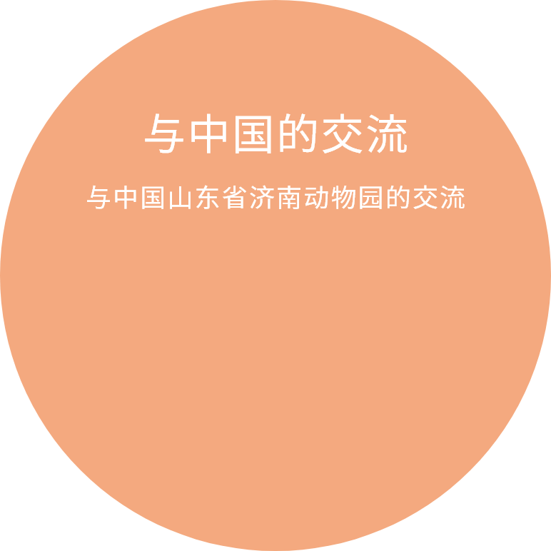 与中国山东省济南动物园的交流
