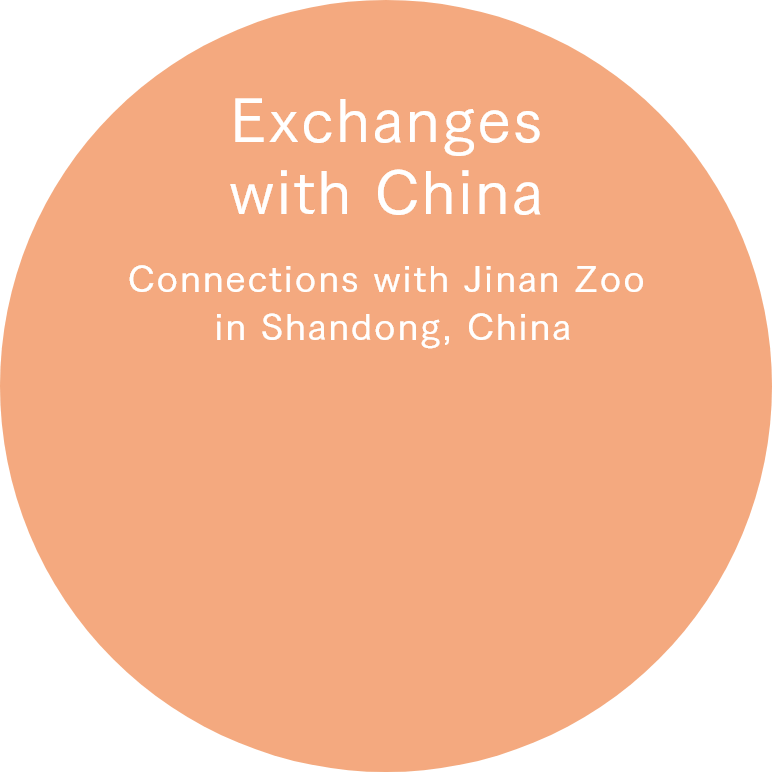 Friendly Relations with Jinan Zoo in Shandong, China