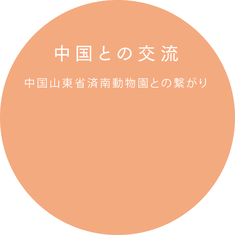 中国山東省済南動物園との繋がり