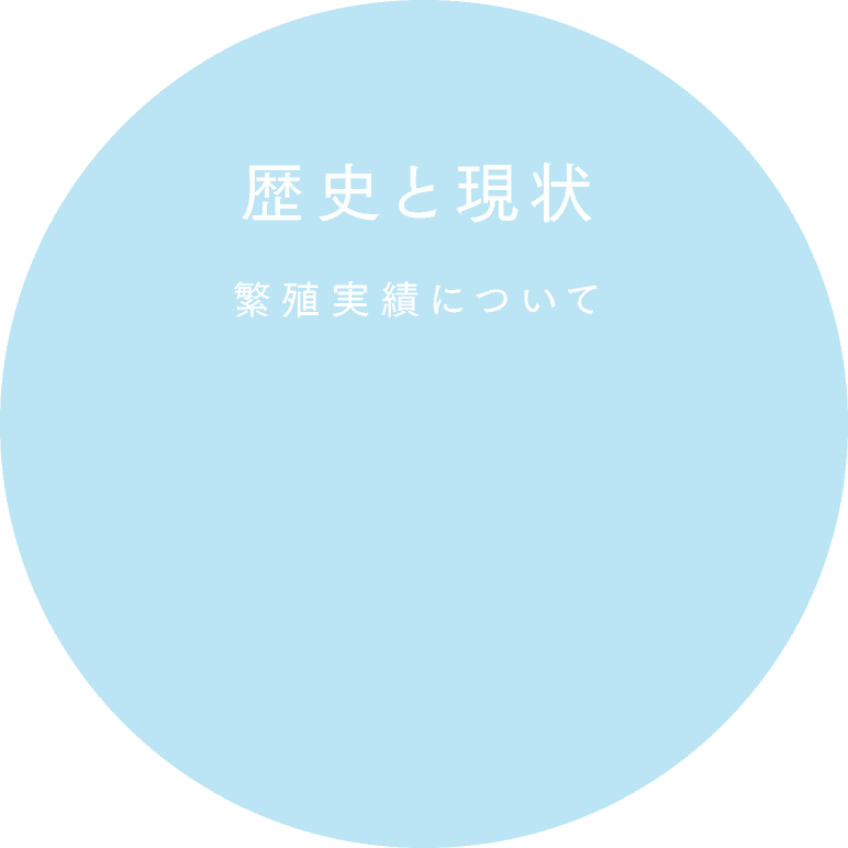 繁殖実績について