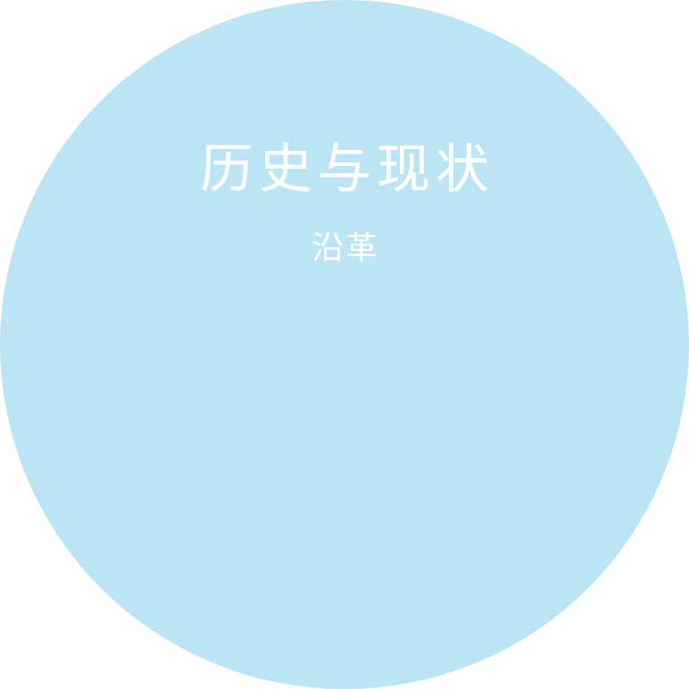 沿革