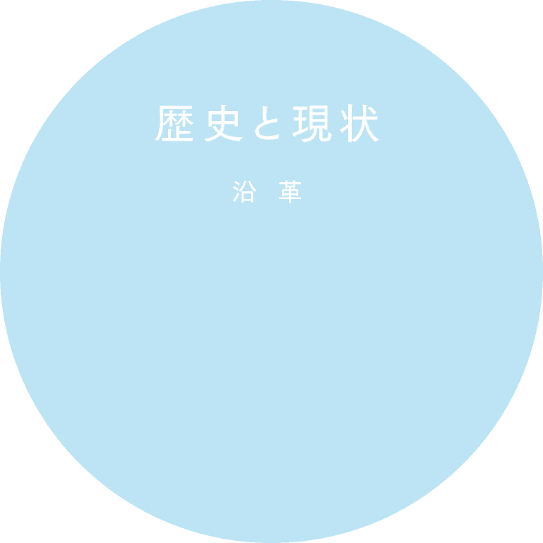 沿革