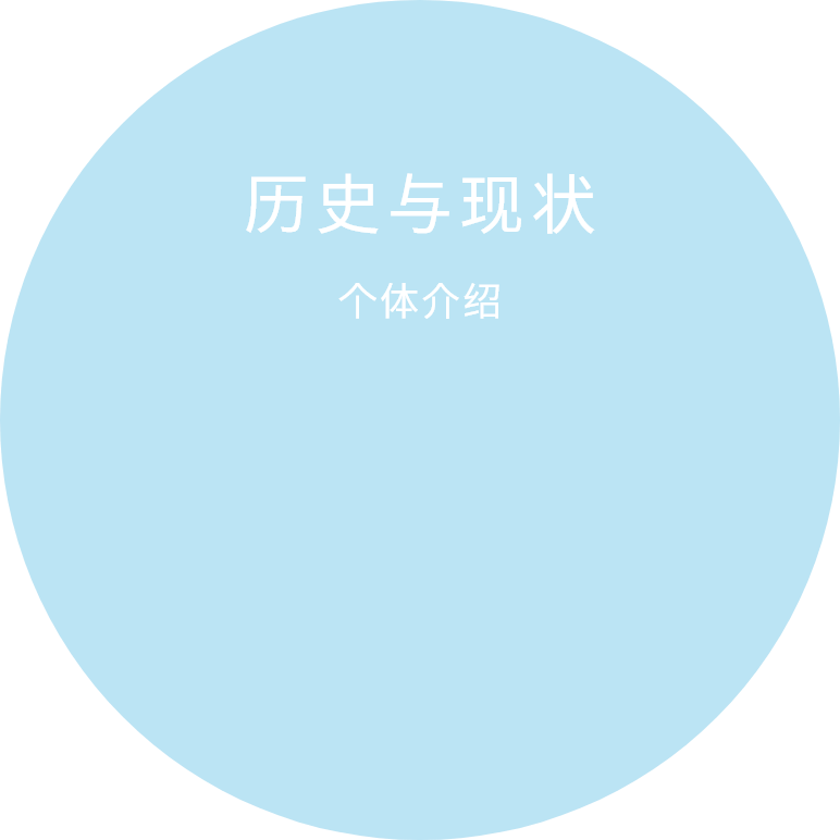 个体介绍