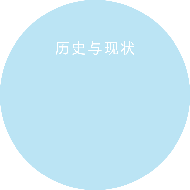 历史与现状