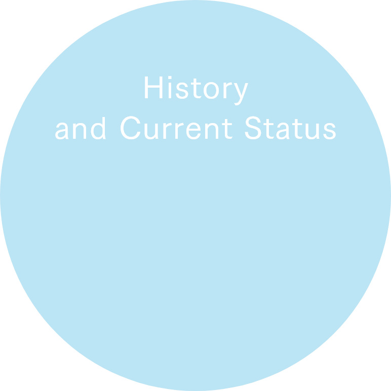 History and Current Status