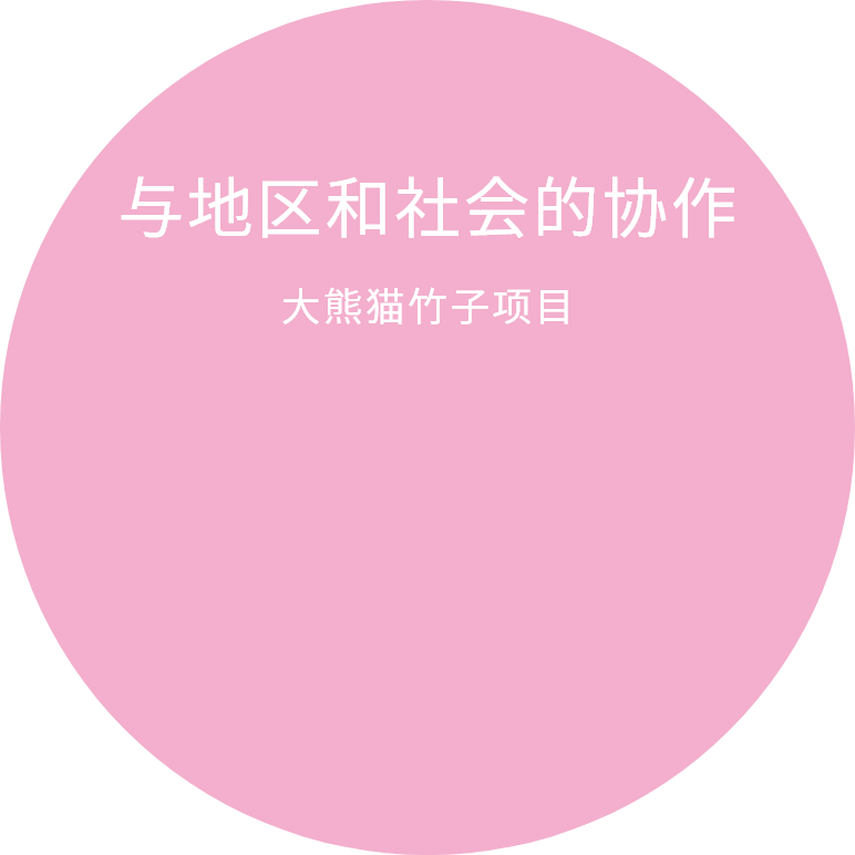 大熊猫竹子项目