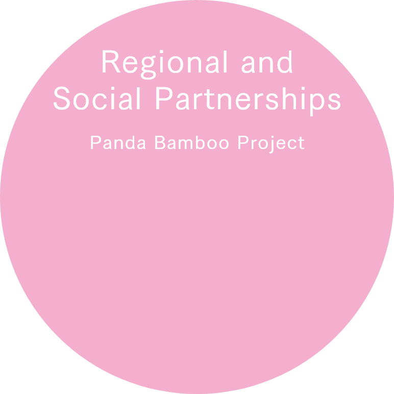 Panda Bamboo Project