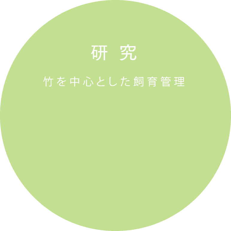 竹を中心とした飼育管理