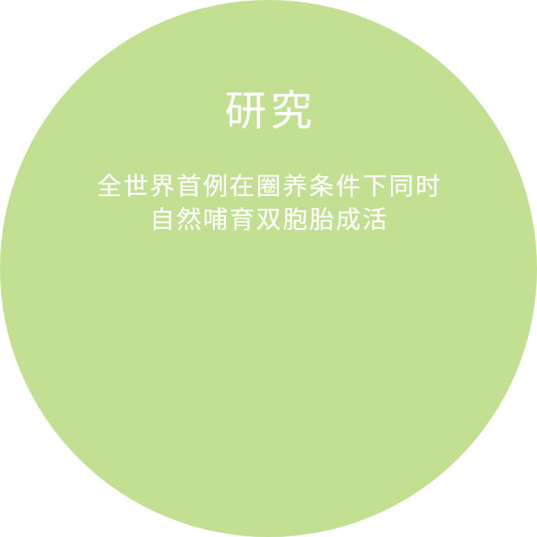 全世界首例在圈养条件下同时自然哺育双胞胎成活