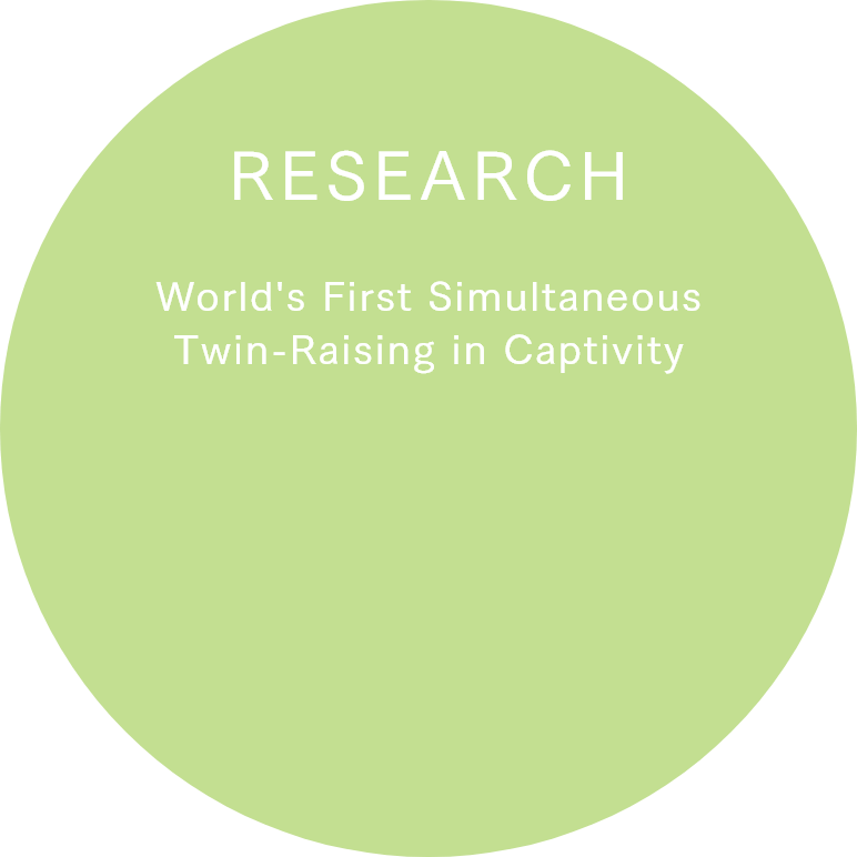 World's First Simultaneous Twin-Raising in Captivity