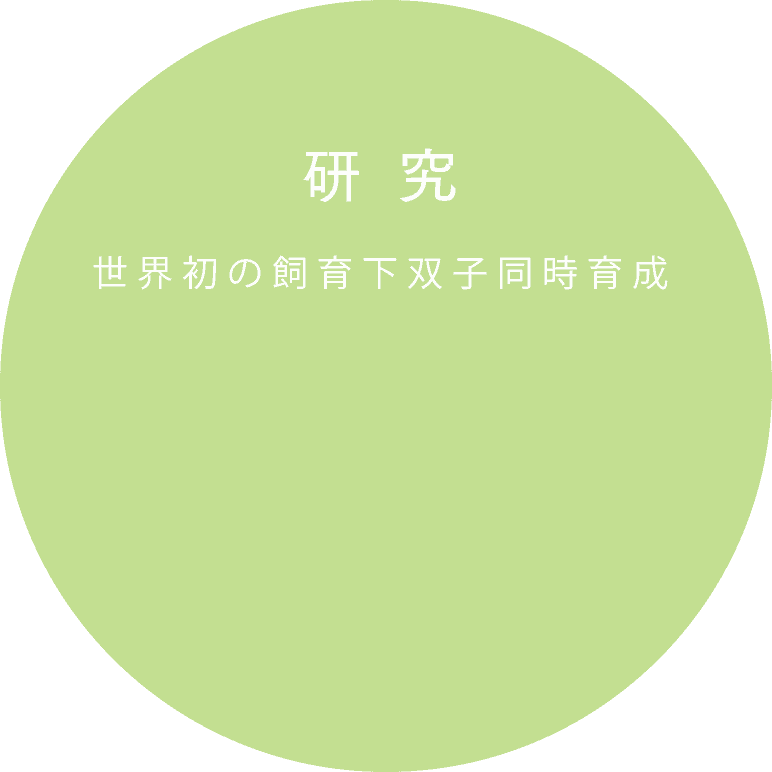 世界で初めての飼育下双子同時育成