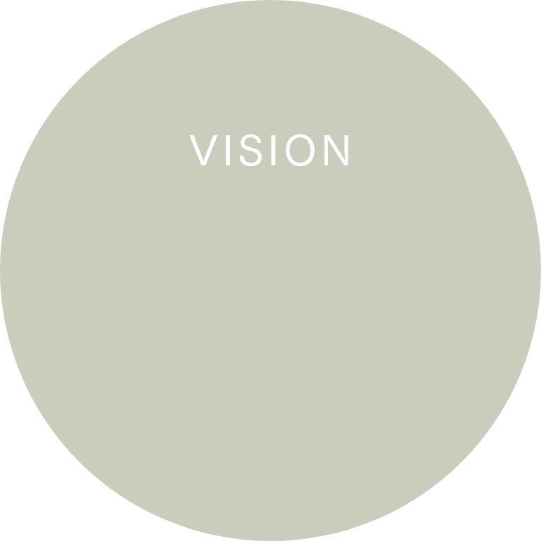 VISION