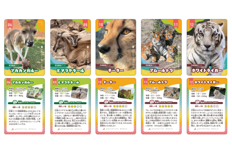 どうぶつ“発見”カード