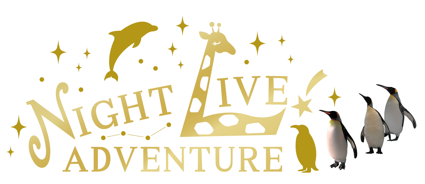 NIGHT LIVE ADVENTURE