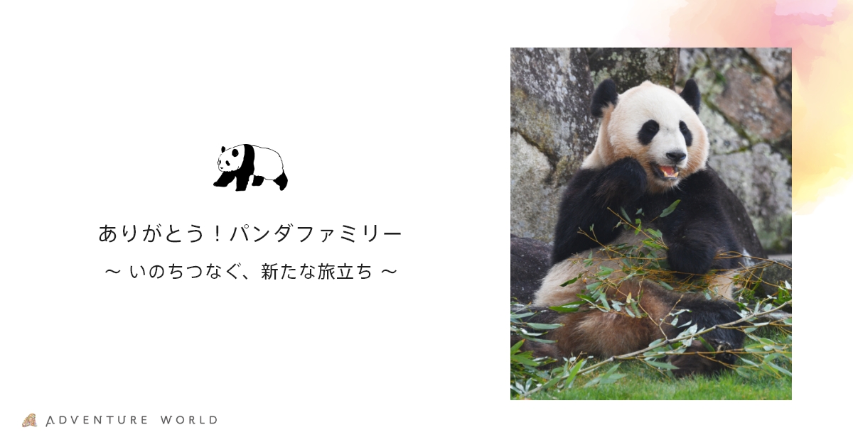 アドベンチャーワールド　ありがとうパンダファミリーグッズ7点　良浜結浜彩浜楓浜 4/30（水）〜5/13（火）まで、千里阪急でアドベンチャーワールド