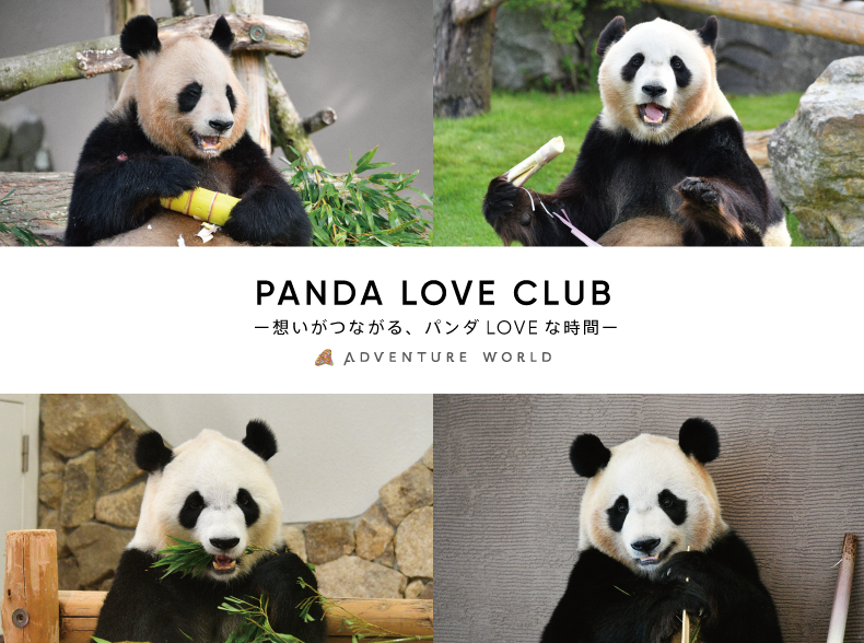 PANDA LOVE CLUB