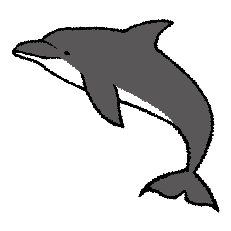 イルカ