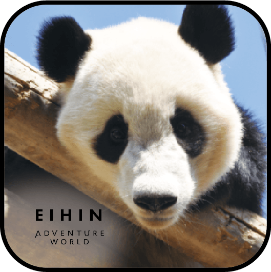 ブラインドミニタオル