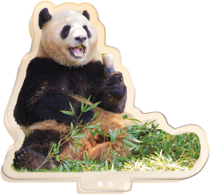 アクリルスタンド