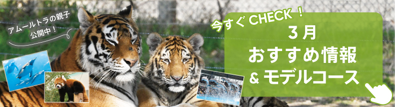 パークの楽しみ方